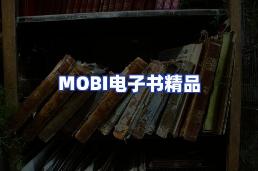 外文电子书产品